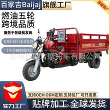 跨境爆款燃油三轮摩托车五轮三轮车三蹦子水冷自卸汽油载重王厂家