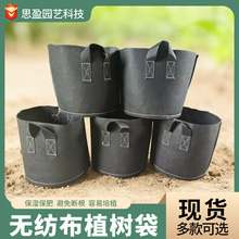 �Ӻ�ֲ��������@ˇ����ֲ��ë�֟o�����S���������������L�Nֲ��