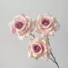 Naked pink