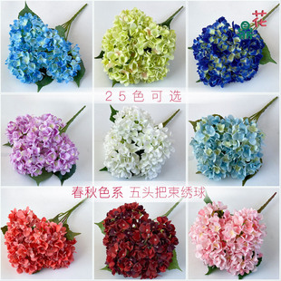 ���^����ѩ������ 5�^�o�������� ��Y�Ƶ겼�üٻ� ������ꐽ���