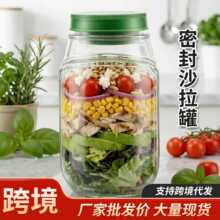 跨境外贸现货Saladkind  Salad Pod Built塑料防漏沙拉收纳罐跨境