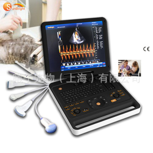 Foreign Trade Veterinary Colorful Doppler Ultrasound Diagnostic System Cat and Dog Pet B-Ultrasound Machine Color Ultrasound Machine Manufacturer