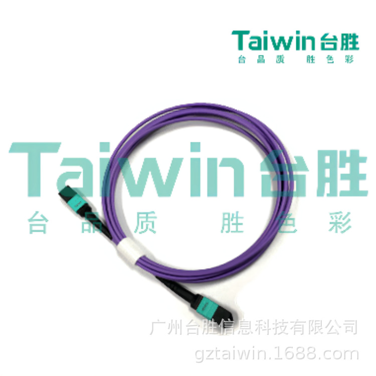 Taiwin台胜综合布线MTP/MPO  MPO-MPO OM4万兆多模24芯光纤跳线