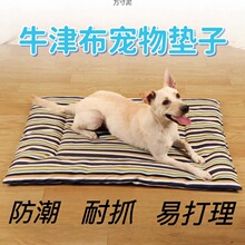 ���|�ӷ���ţ����ץ؈���ļ�˯�|����C�|�\�|�_�|��ҧ���C���l