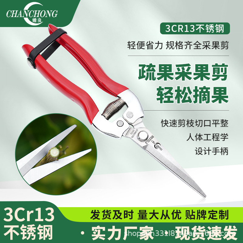 蟾虫803采果剪不锈钢剪刀葡萄剪稀果剪园艺修枝剪果树修枝丫枝条