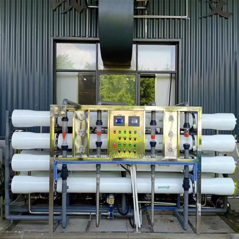 反渗透一体化设备 胜王水处理  双级去离子过滤工业脱盐纯净水