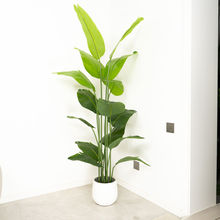 ����Gֲ���˽������B���滨�[����ش����҃ȿ͏d�̨