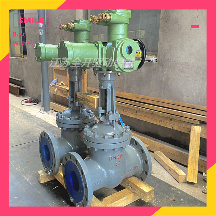 矿用隔爆型电动闸阀MZ941H-25C DN150 智能一体化带远程控制系统