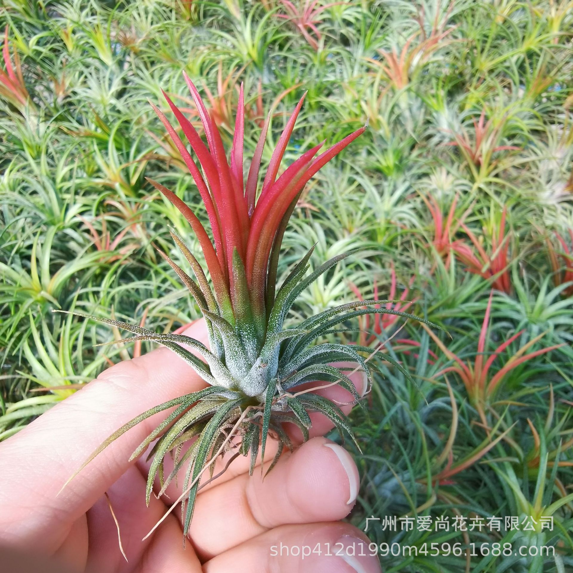 微信图片_20211105040114