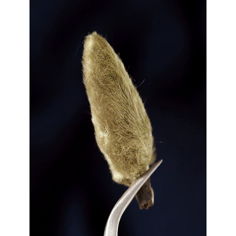 天然マグノリアの花 新入荷 マグノリアの花 漢方薬原料 毛桃スパイス 無硫黄マグノリアの花茶 水浸しマグノリアの花|undefined