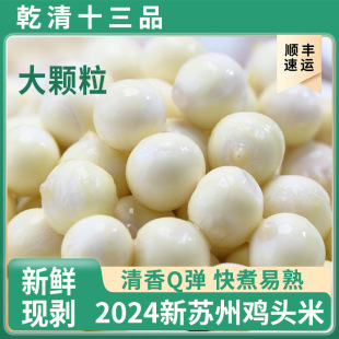 Ǭ��ʮ��Ʒ�K���u�^�����r�خa2024���w���r�͌��u�^�׬F���Ǹ�؛
