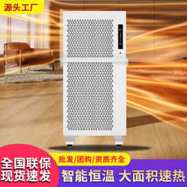 大面积速热石墨烯取暖器壁立两用式电暖气定时轻音节能家用取暖器