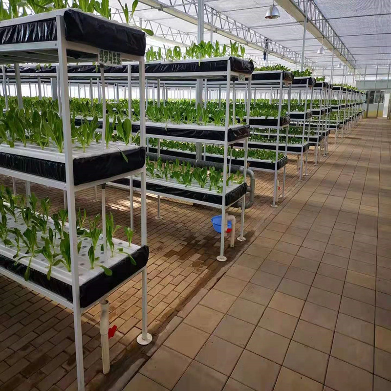 DFT espuma cultivo sin suelo invernadero cultivo sin suelo melón fruta hoja vegetal plantación NFT hidropónico vegetal con placa de agujero