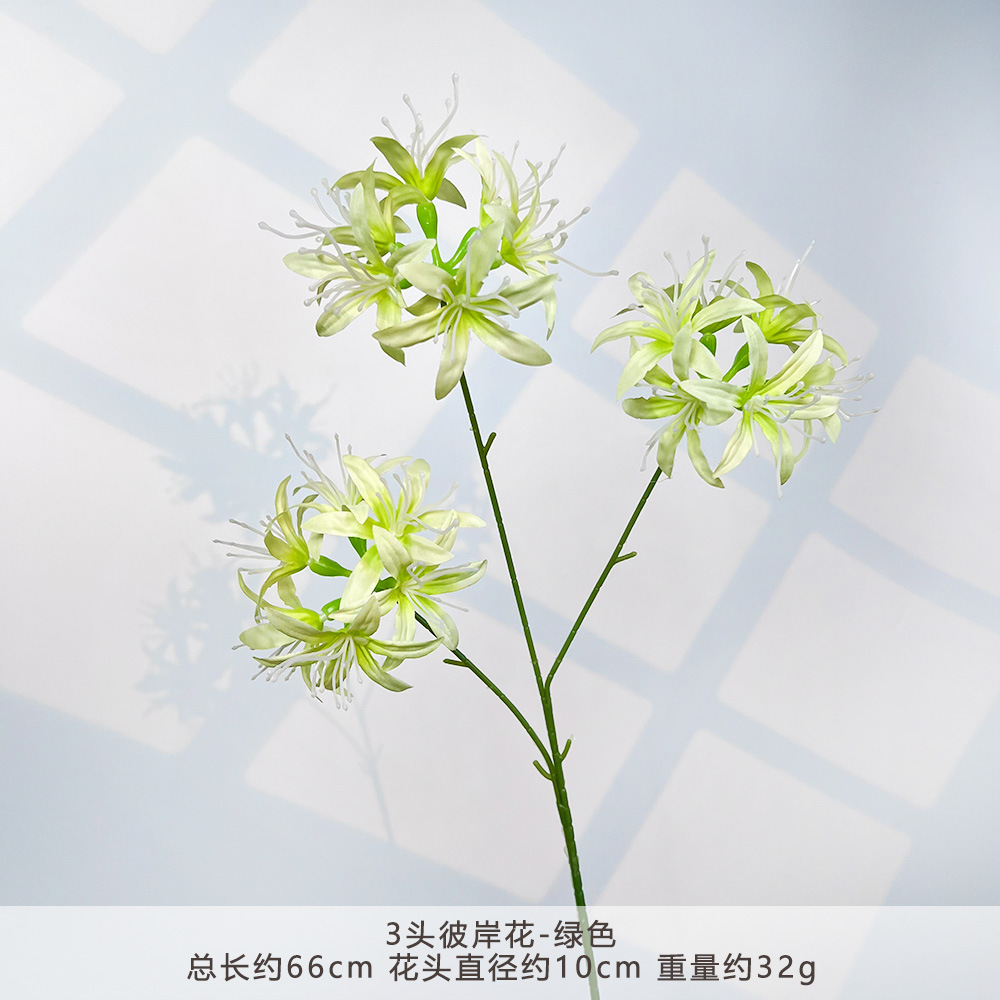 HXX-3头彼岸花-绿色