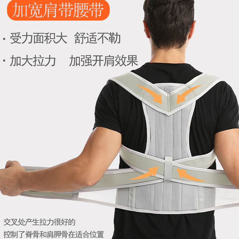 背中佳是正器成人背中固定帯男女姿矯正帯支持板猫背矯正帯を含む|undefined