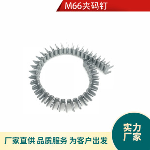 ɳ�l�̶����A�a�M66���W�A���P䓼Ҿ�������