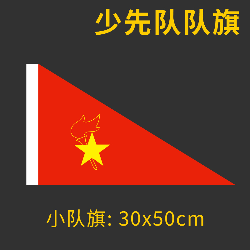 少先队中队旗手摇旗手持大队旗小队旗中队旗杆2号3号4号大队旗户|undefined