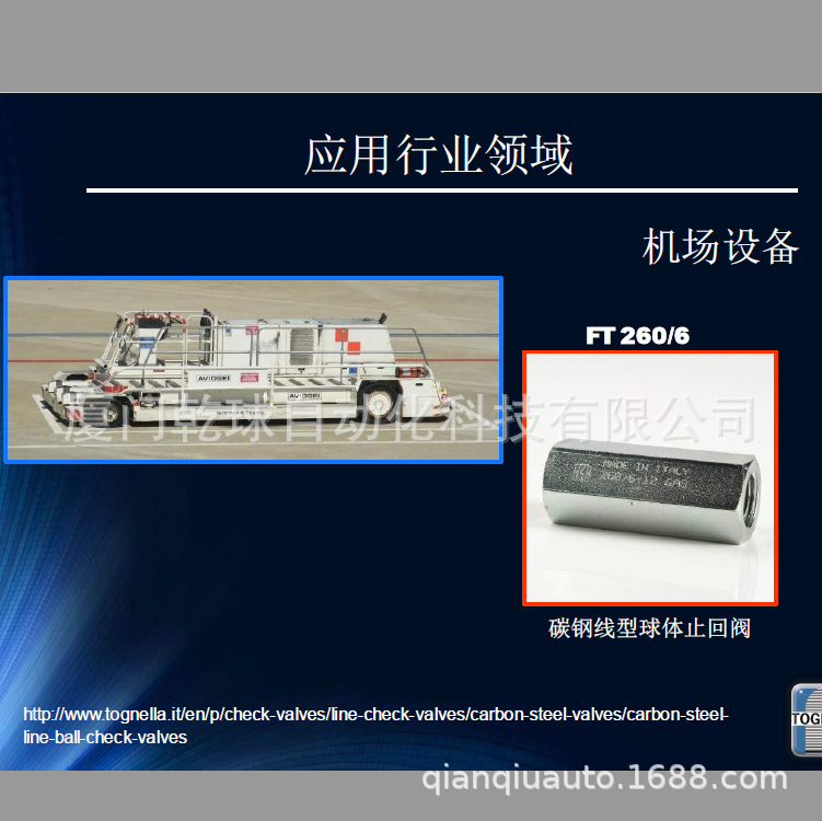 FT260/6-18 意大利TOGNELLA单向阀FT 260/6-18  交期快