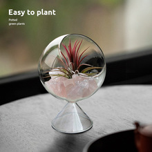 �՚��P��ֲ���k���҃ȹ�λ����С���Ԅ���[���o���Gֲ���˺��B��