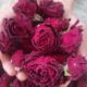 Yunnan Dark Red Rose Freeze-Dried Flower Tea Original Large Flowers Beauty and Nourishment Edible Red Rose Tea Wholesale