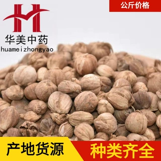 白豆蔻1000克华美中药 中药材现货批发供应  白豆蔻新货 量大从优