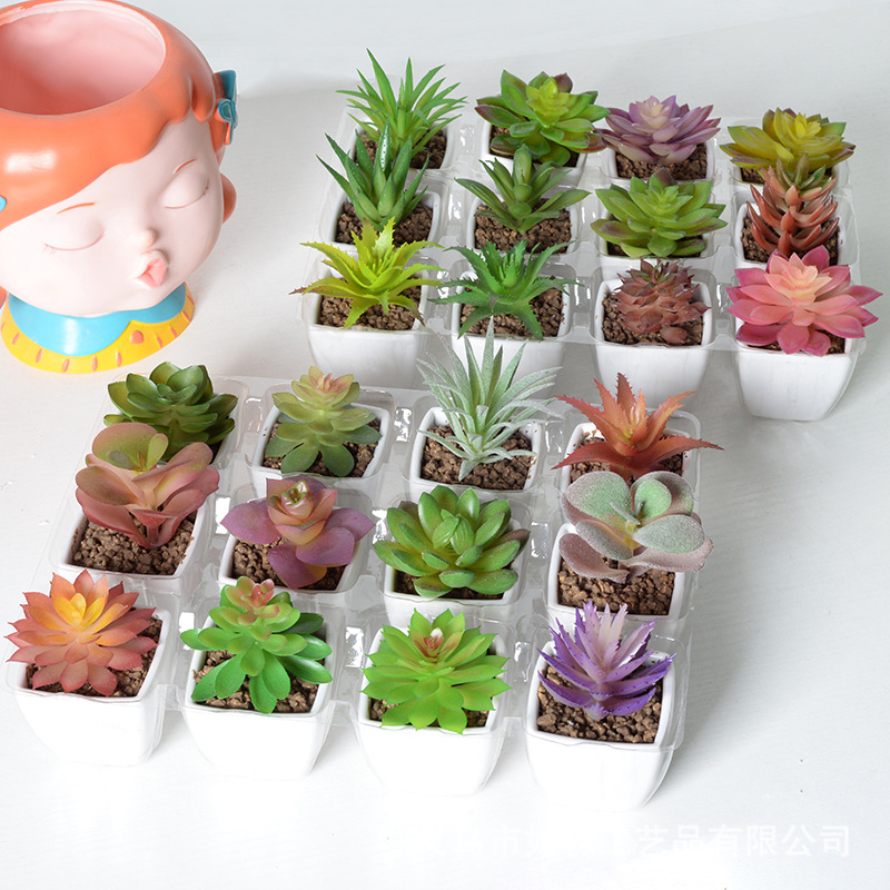 Simulación de plástico carnoso bonsai flor falsa combinación oficina interior escritorio plantas verdes pequeños adornos plantas artificiales al por mayor image 4