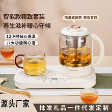 双养生壶多功能家用办公室煮茶器小型玻璃花茶迷你恒温水杯送礼物