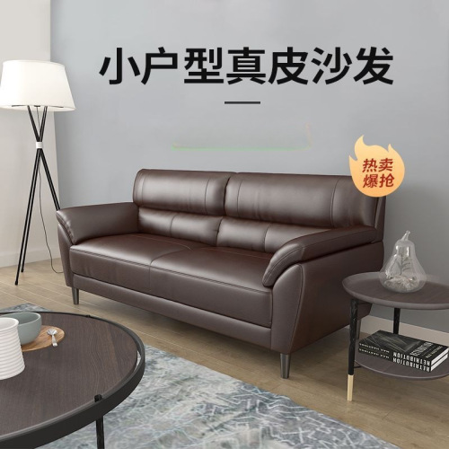 Nordic-style leather sofa, European head layer cowhide, small household leather art sofa, living room three-person sofa, office and home use