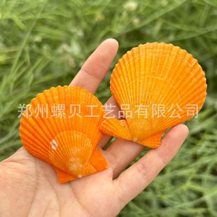 ��Ȼ�S��ؐؐ�����ݺ����~���쾰�ֹ�diy��������L�Ư��ƿ�b�
