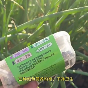 Plant Slow-Release Nutrition Bar, Potted Flower Powerful Six-In-One Succulent Universal Nitrogen, Phosphorus and Potassium Plant First Aid Kit