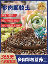 �������w�����I�B������ֲ��Nֲ�����ʯ�~���M����̿�����l