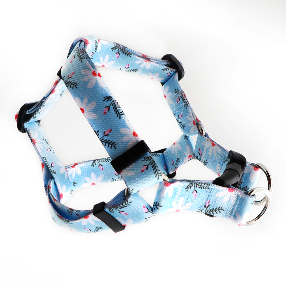 Fábrica en stock bohemio perro pecho correa estilo étnico perro pecho Correa Comercio exterior verano impreso PET Correa