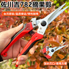 ������782���L��ժ������ժ����ϡ��ϡ����֦�����軨�߹��辰��