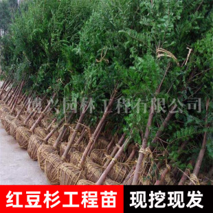 �Ϸ��t��ɼ����@�ֹ��̾G��������ľ�e��ͥԺ�҃ȾGֲ�G���t��ɼ