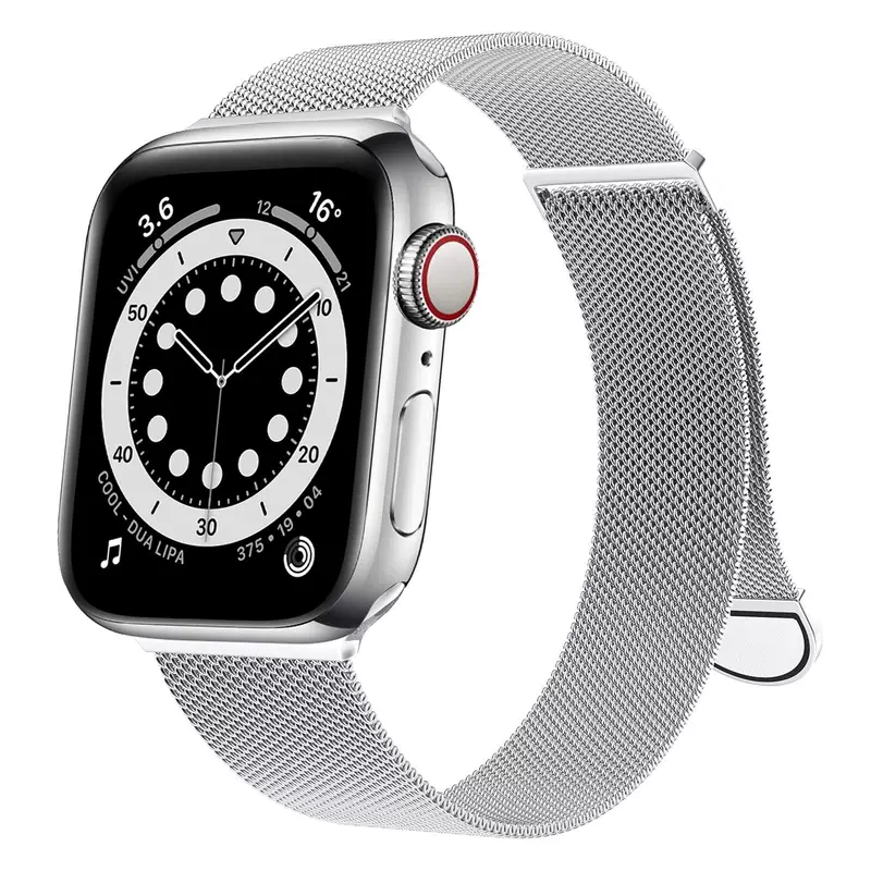 Apple, watch strap stainless steel