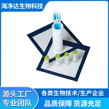 �^��ԭ�z�yԇ����