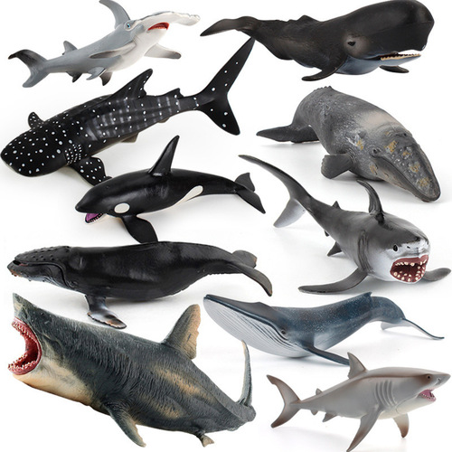Factory direct sales simulated real great white shark blue whale tiger shark marine animal creature model whale toy ornaments