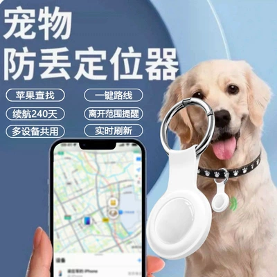 Search and Positioning T-01, GPS Locator