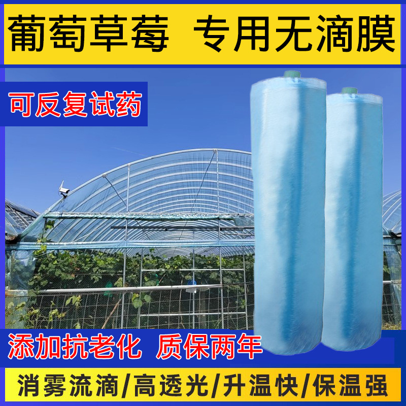 película de invernadero de plástico de fresa de uva PE película anti-fog transparente de polietileno espesa tela de plástico película de plástico de plántulas de plantas