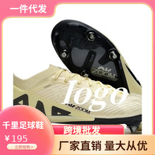 ����S�����l�羳Ӗ������̿�16��Cc�_�ߎ�FG�L�15SG�F�����Ь