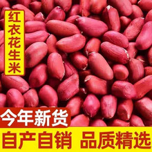 净重五斤批发价农家种植新红皮花生米不带壳东北特产红衣100g
