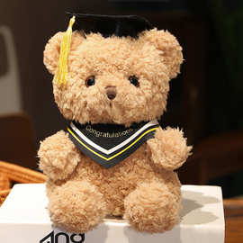 毕业典礼季博士熊毛绒公仔学士熊带博士帽玩偶小熊摆件学生礼物
