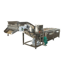 果蔬气泡清洗机商用连续叶类清洗设备厨房多功能果蔬气泡清洗机