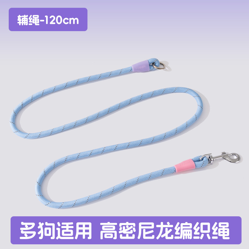 Los perros salen, perros pequeños y medianos, contraste de moda, uno arrastra tres, cuerda de tracción, muchos perros paseando a su perro, cuerda para perros, suministros para perros