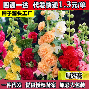 �ذ�������N�����ļ����N�_���������׻�ѷN��ͥԺ���N�ݷNֲ