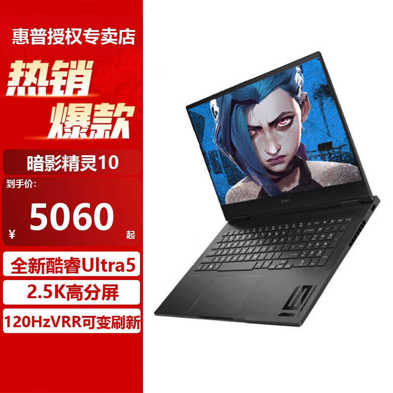 HP (HP) Light and Shadow Elves 10 11 Shadow Elves 1016.1-inch Game Book Laptop