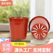 嘉利大型塑料花盆生产厂家君子兰硬塑家庭园艺资材整件批发耐腐蚀