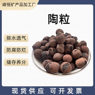 ���l���B�������� �����l���g������� �o������͸�����@������