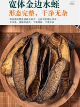 Ұɽ��߅ˮ�� ���w��Λ�� ���w�R���R�M��߅ˮ�η۟o�}�o�\��