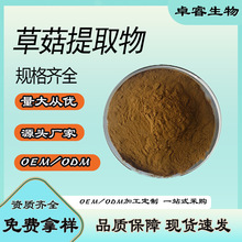 草菇提取物 水溶 草菇粉草菇多糖苞脚菇/兰花菇子提取物 厂家现货